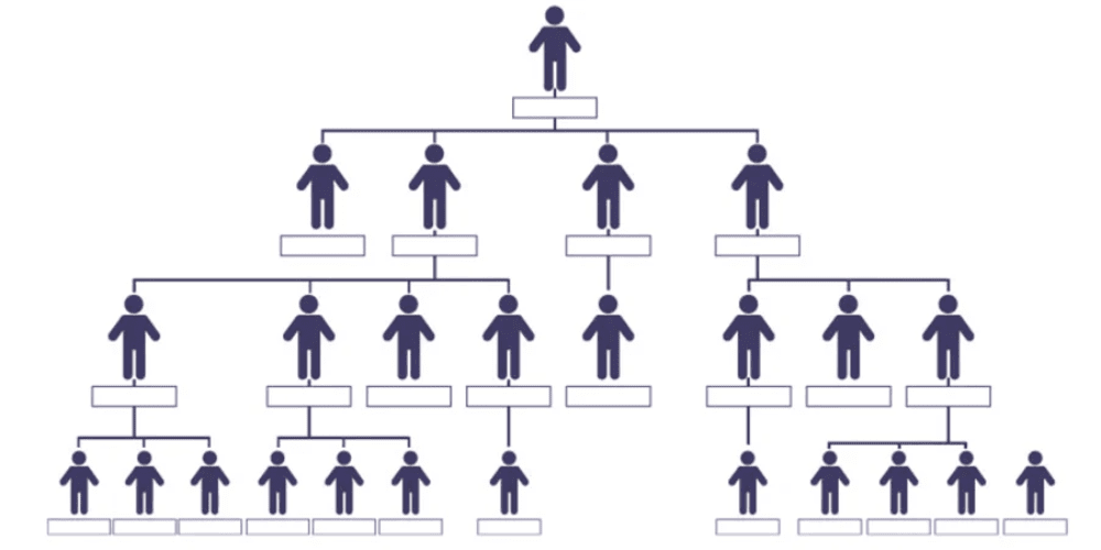 ساختار سازمانی ایده‌آل در یک شرکت حسابداری حرفه‌ای | نمودار وظایف، سطوح شغلی و مدل‌های تخصصی